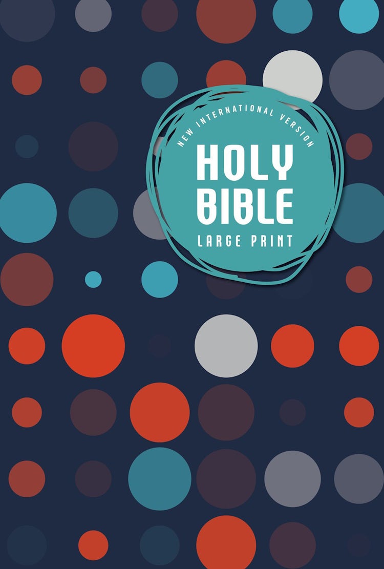 Cover image for NIV Outreach Bible For Kids [Large Print], isbn: 9780310763246