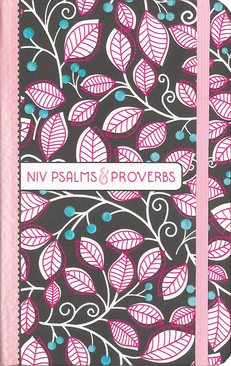 Cover image for NIV Psalms And Proverbs [Pink], isbn: 9780310765776