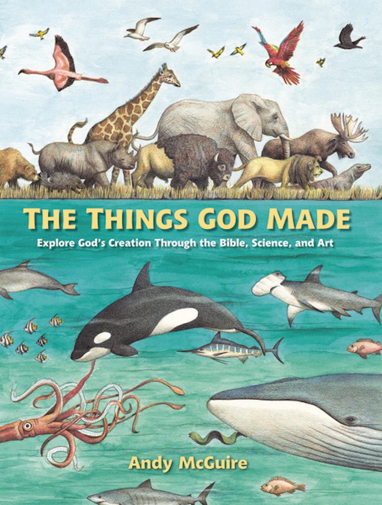 Cover image for The Things God Made: Explore God's Creation Through The Bible, Science, and Art, isbn: 9780310771272