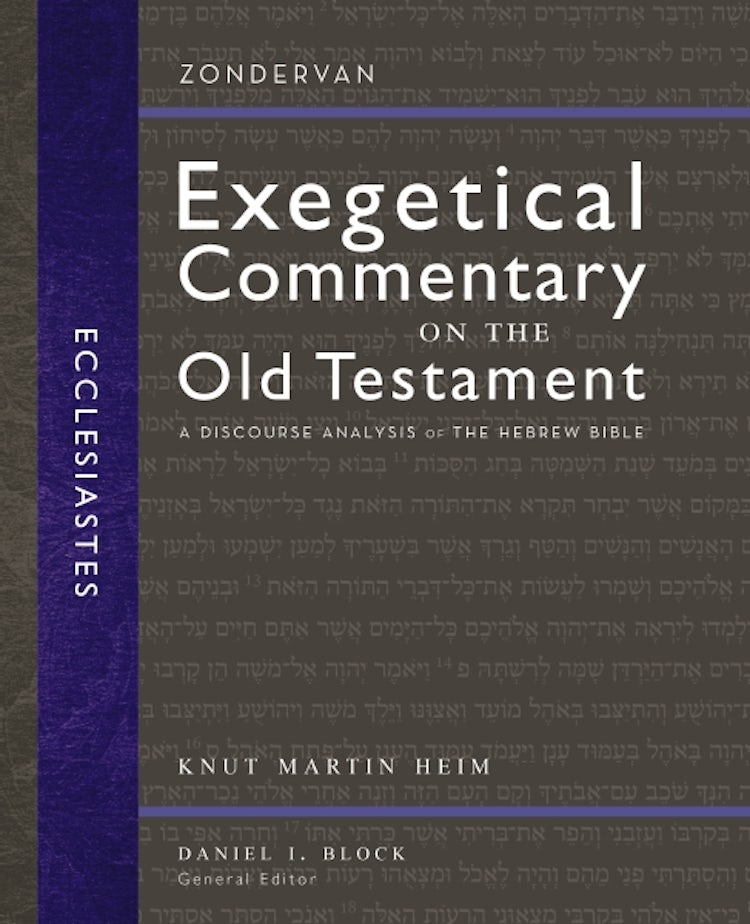 Cover image for Ecclesiastes: A Discourse Analysis of the Hebrew Bible, isbn: 9780310942313