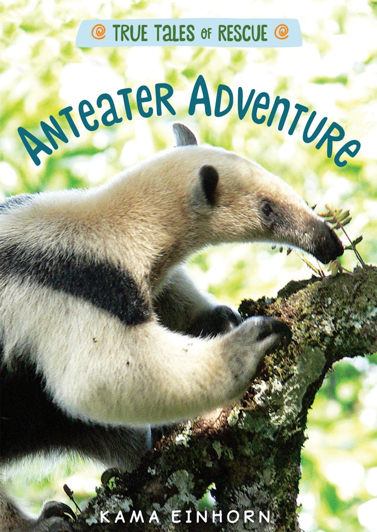 Cover image for Anteater Adventure, isbn: 9780358055952