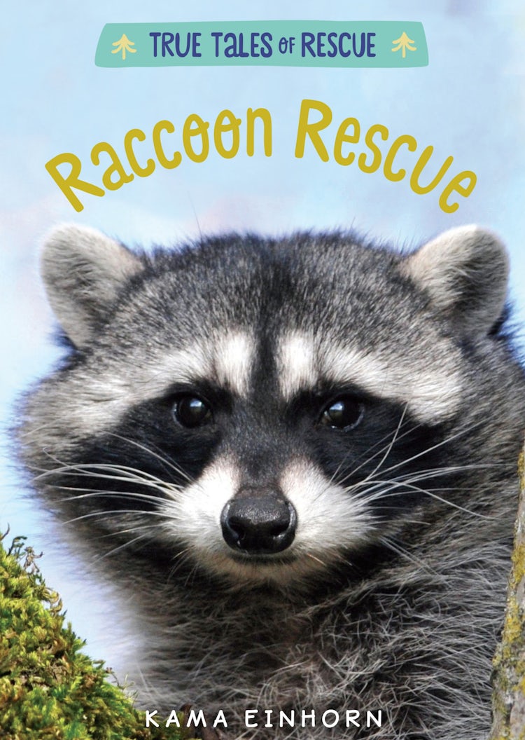Cover image for Raccoon Rescue, isbn: 9780358055969