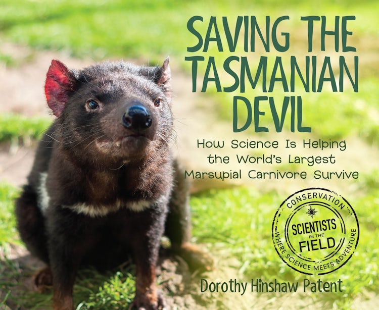 Cover image for Saving the Tasmanian Devil, isbn: 9780358056058