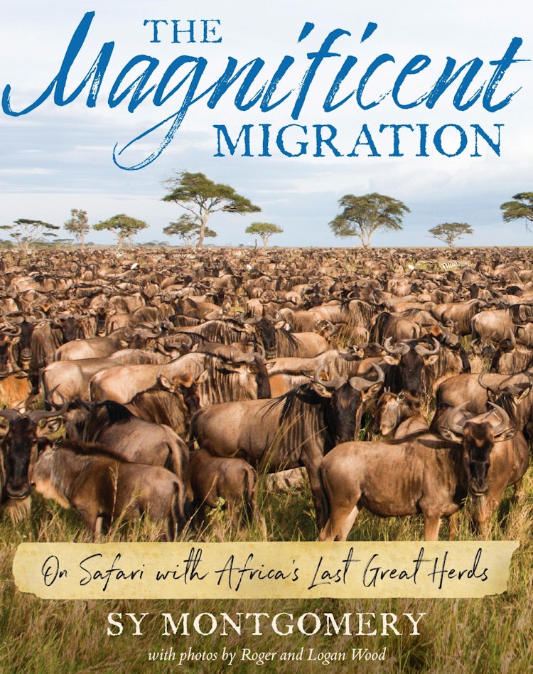 Cover image for The Magnificent Migration, isbn: 9780358063377