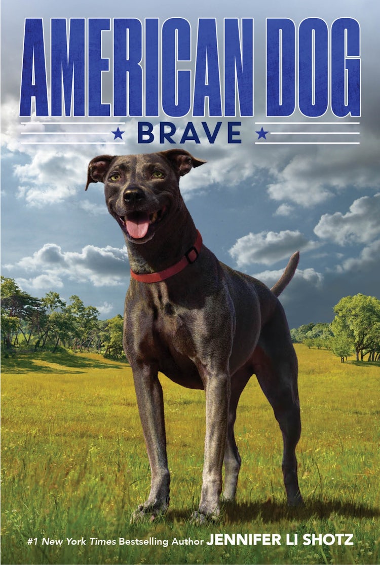 Cover image for Brave, isbn: 9780358108610
