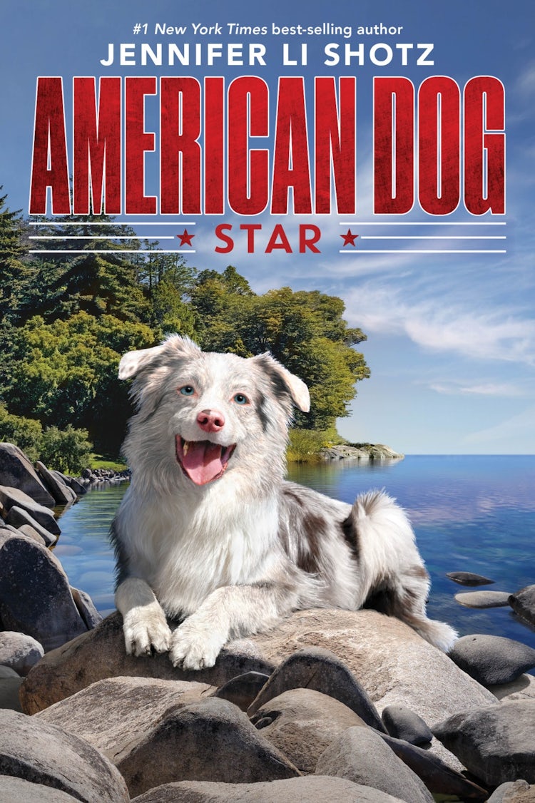 Cover image for Star, isbn: 9780358108634