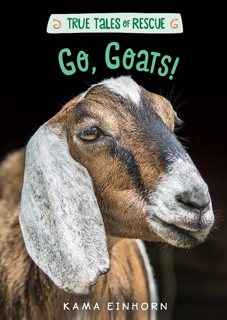 Cover image for Go, Goats!, isbn: 9780358164333