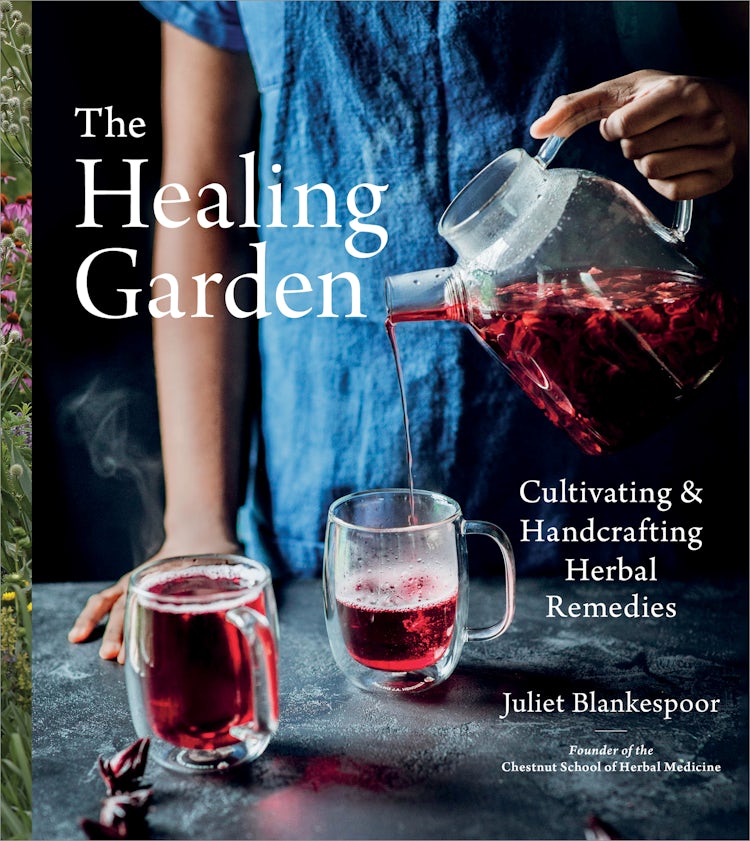 Cover image for The Healing Garden, isbn: 9780358278948