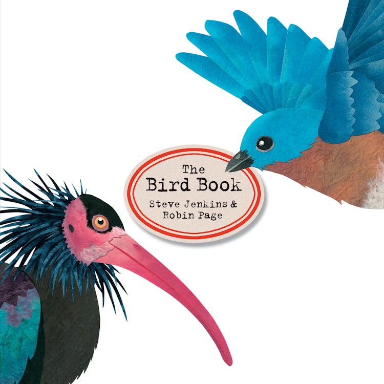 Cover image for The Bird Book, isbn: 9780358325697