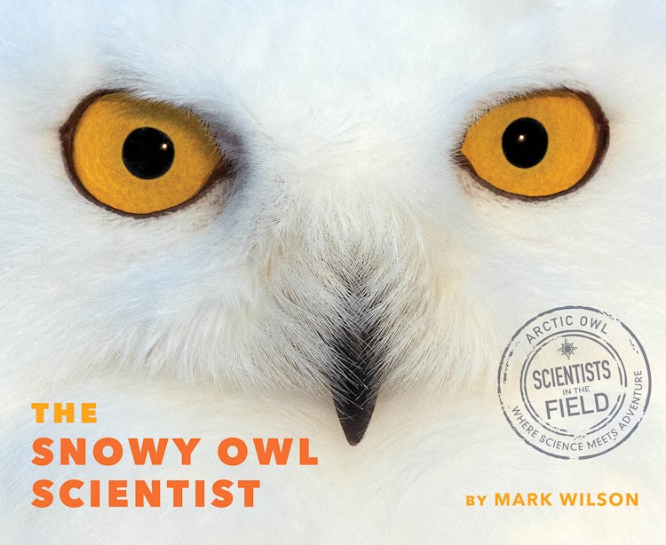 Cover image for Snowy Owl Scientist, isbn: 9780358326601