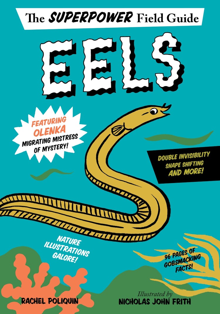 Cover image for Eels, isbn: 9780358330042