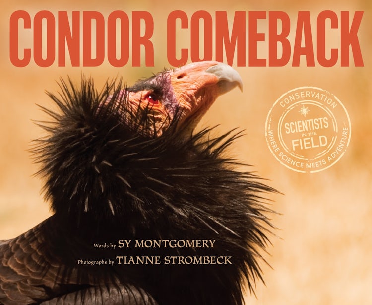 Cover image for Condor Comeback, isbn: 9780358330660