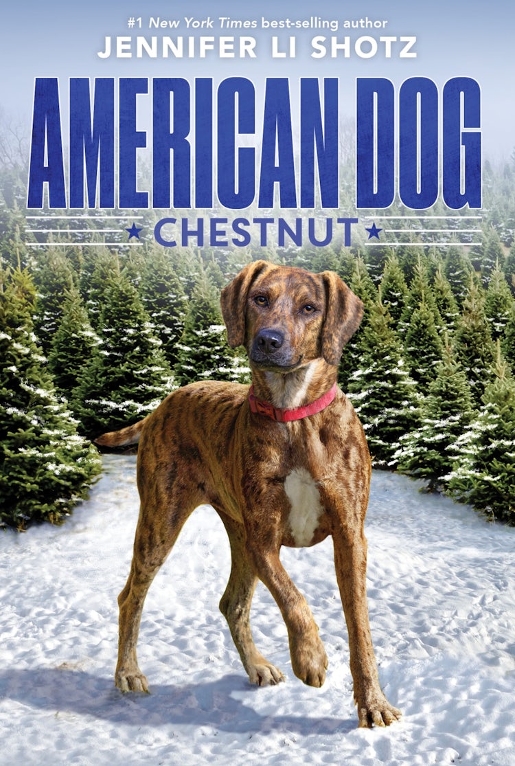 Cover image for Chestnut, isbn: 9780358359036