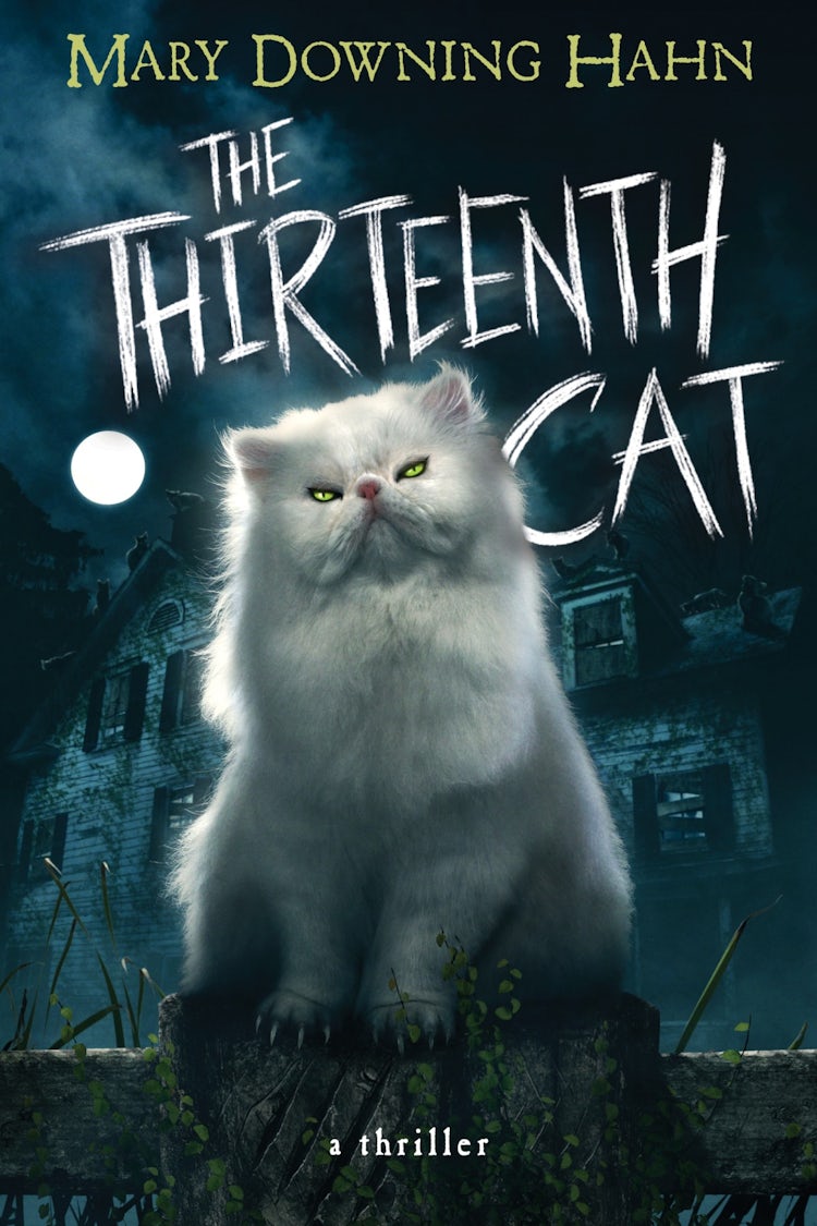 Cover image for The Thirteenth Cat, isbn: 9780358394099
