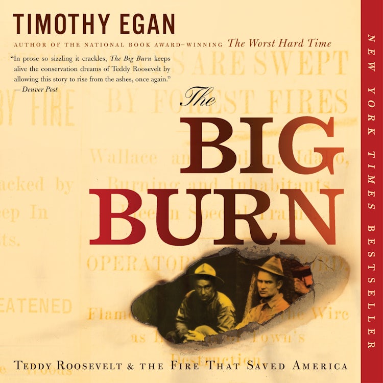 Cover image for The Big Burn, isbn: 9780358418047