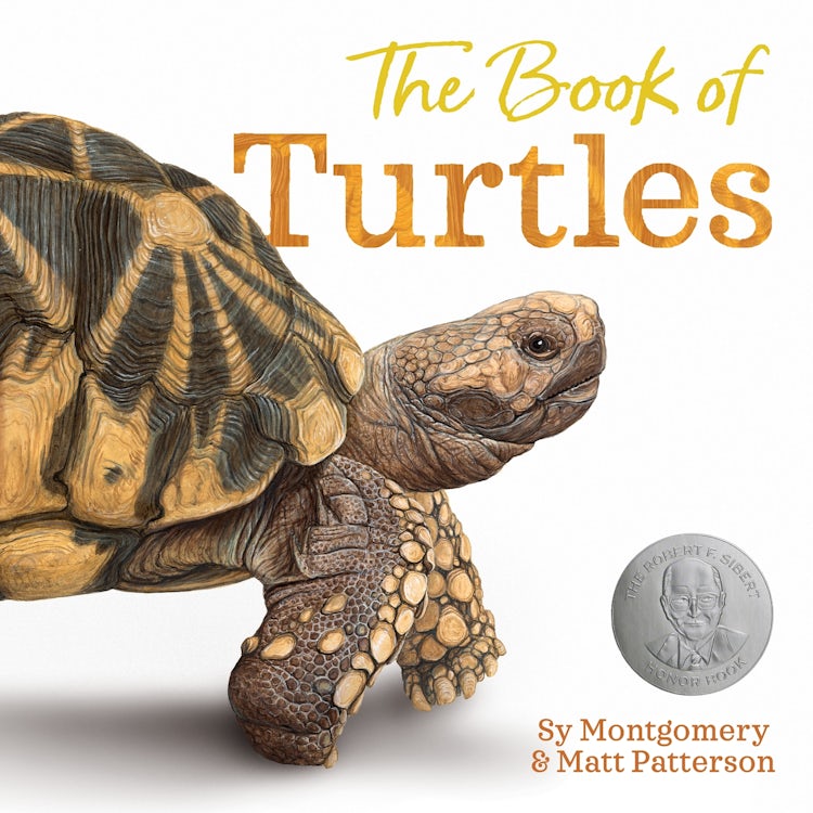 Cover image for The Book of Turtles, isbn: 9780358458074