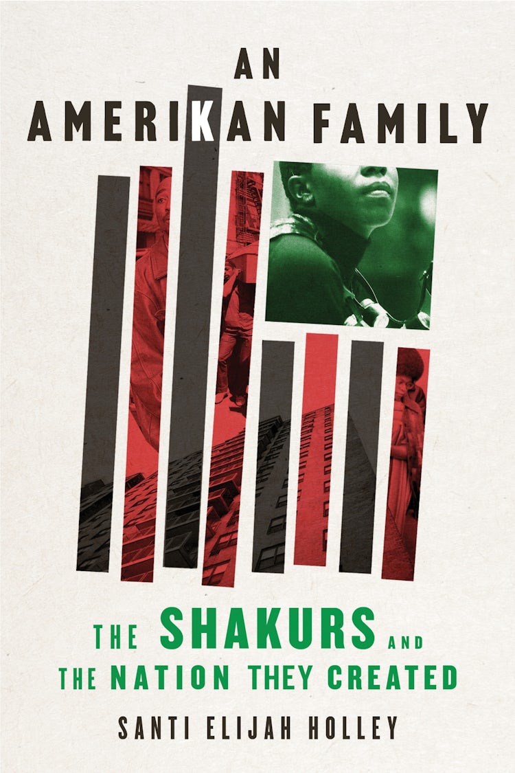 Cover image for An Amerikan Family, isbn: 9780358588696