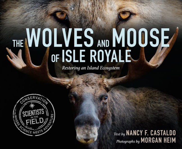 Cover image for The Wolves and Moose of Isle Royale, isbn: 9780358668039