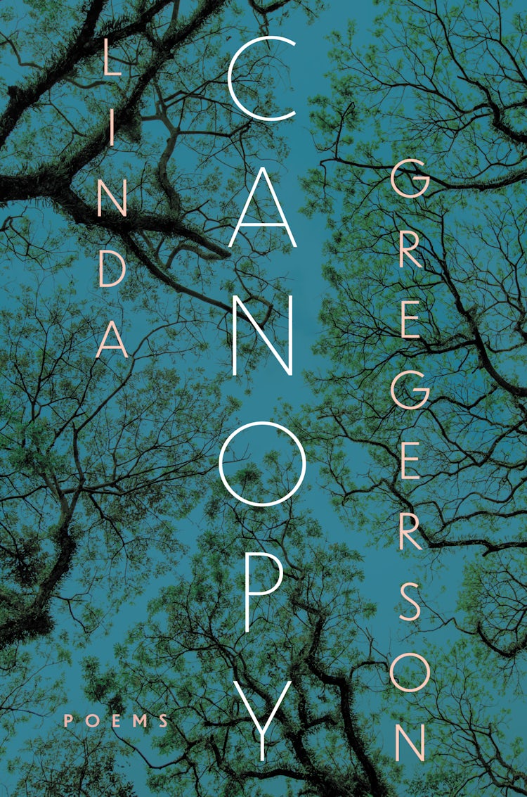 Cover image for Canopy, isbn: 9780358671046