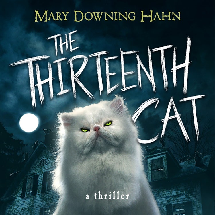 Cover image for The Thirteenth Cat, isbn: 9780358676355