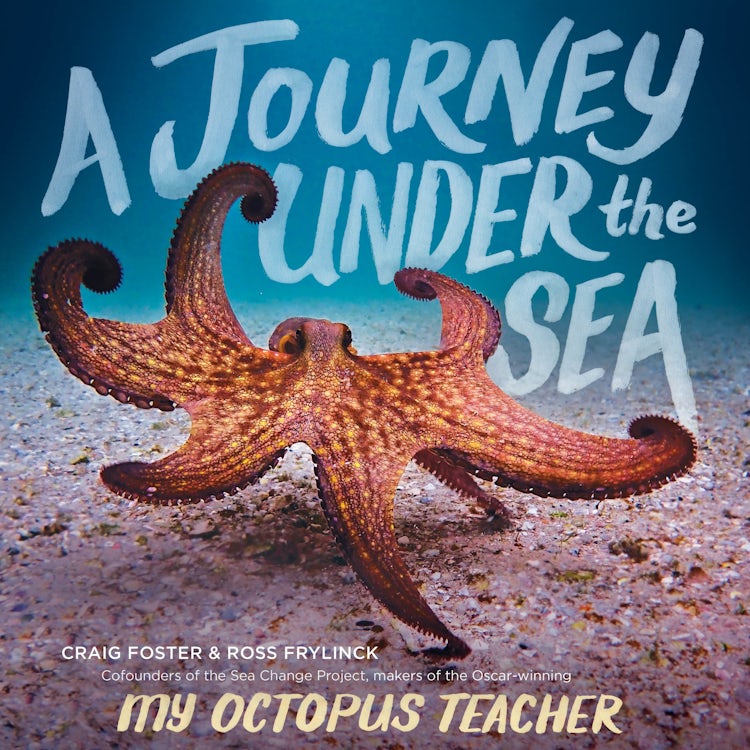 Cover image for A Journey Under the Sea, isbn: 9780358677864