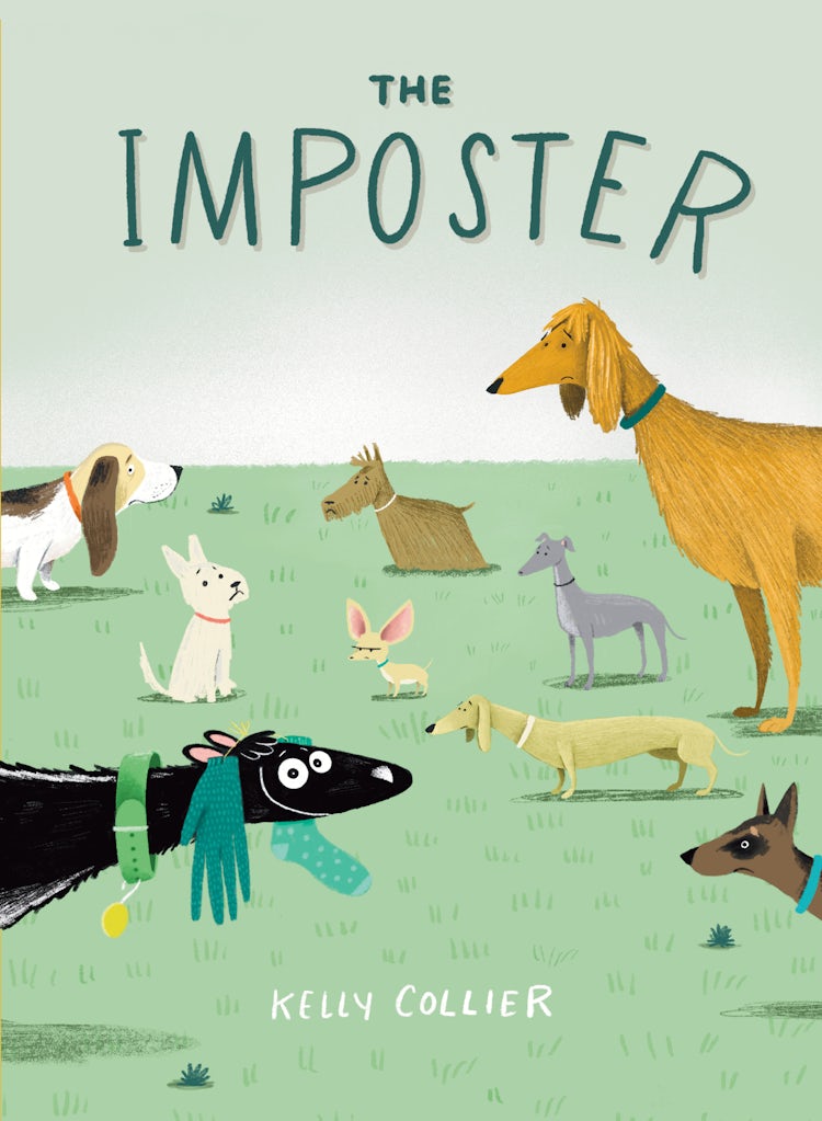 Cover image for The Imposter, isbn: 9780358697060