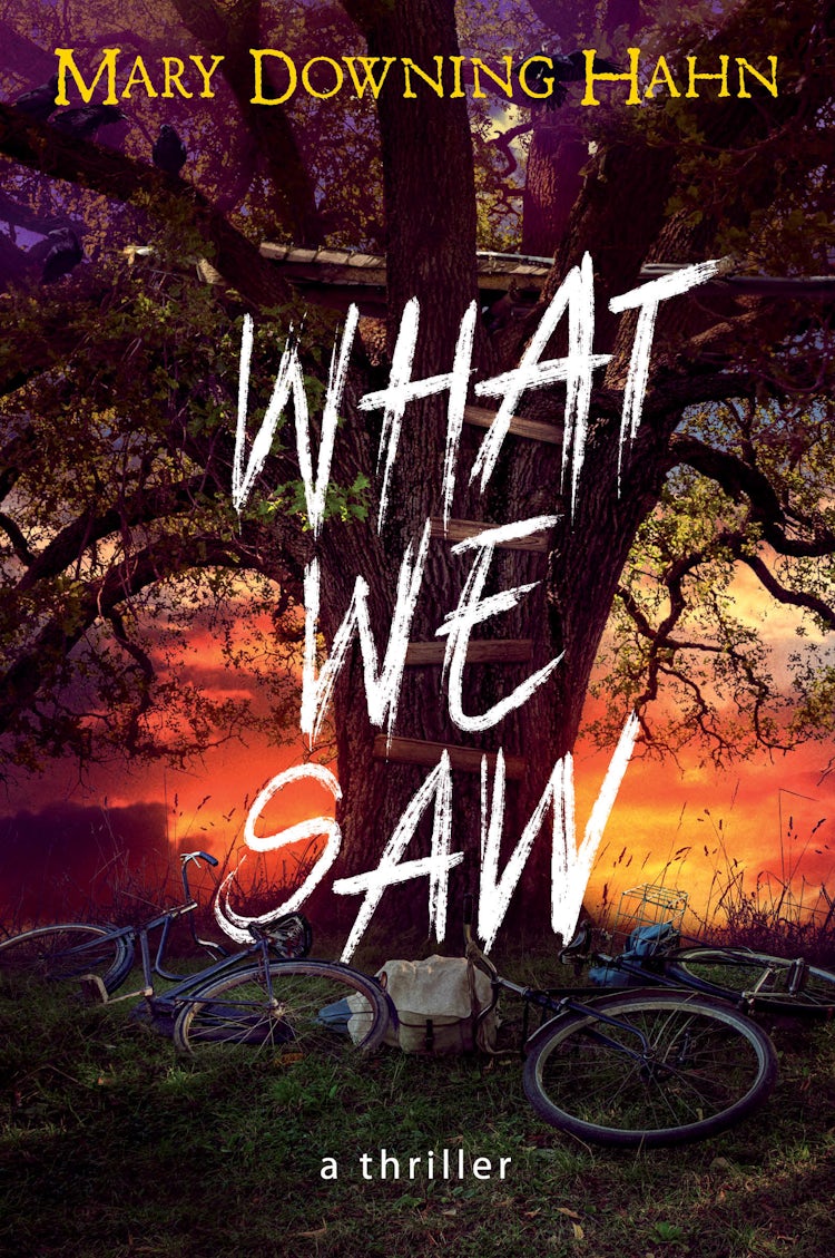 Cover image for What We Saw: A Thriller, isbn: 9780358697312