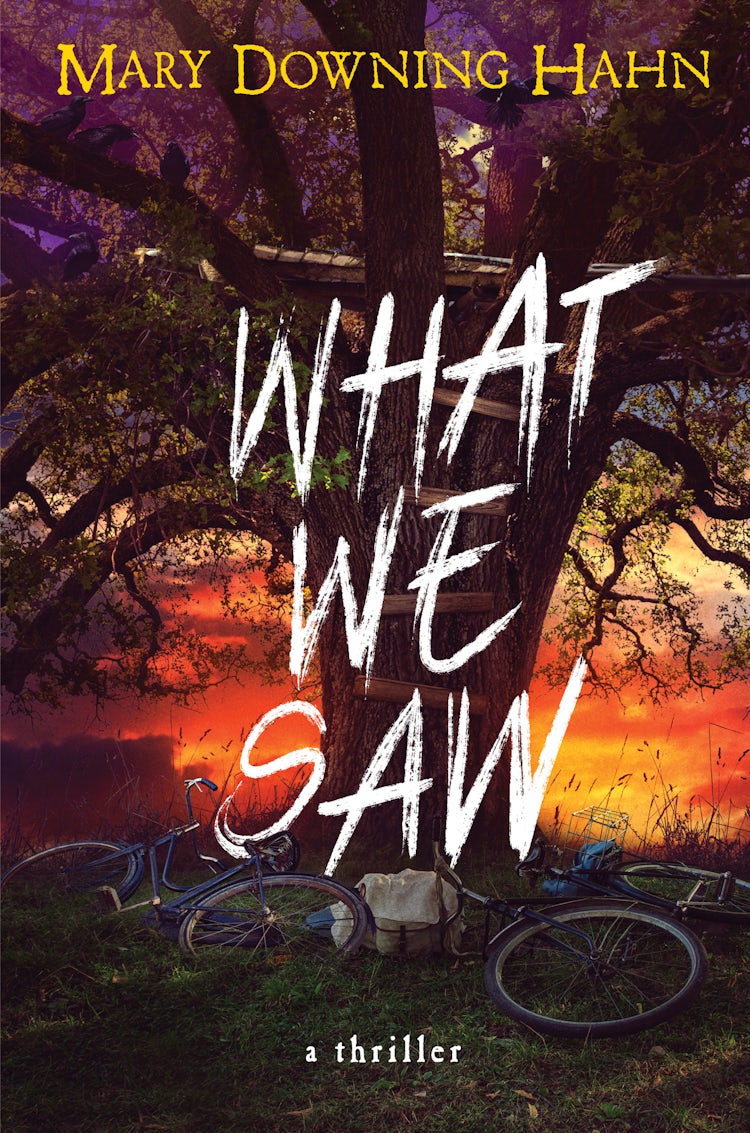 Cover image for What We Saw, isbn: 9780358731061