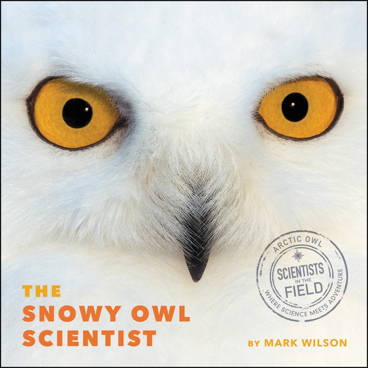 Cover image for The Snowy Owl Scientist, isbn: 9780358748083
