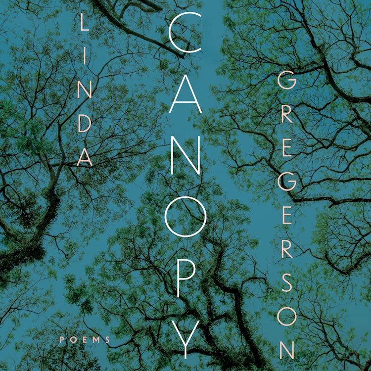 Cover image for Canopy, isbn: 9780358755371