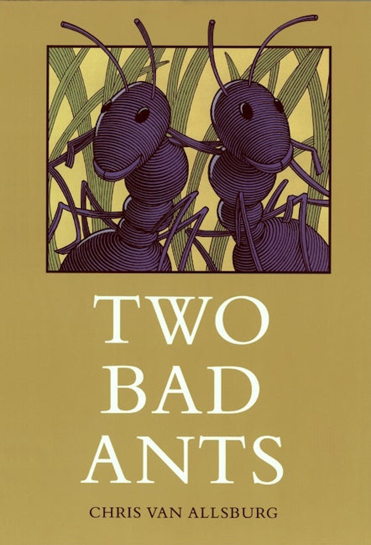 Cover image for Two Bad Ants, isbn: 9780395486689