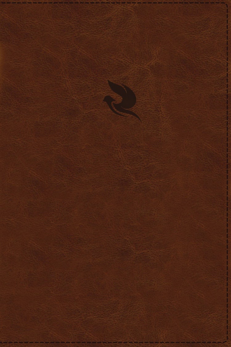 Cover image for NKJV Spirit-Filled Life Bible Red Letter Edition [Brown], isbn: 9780529100016
