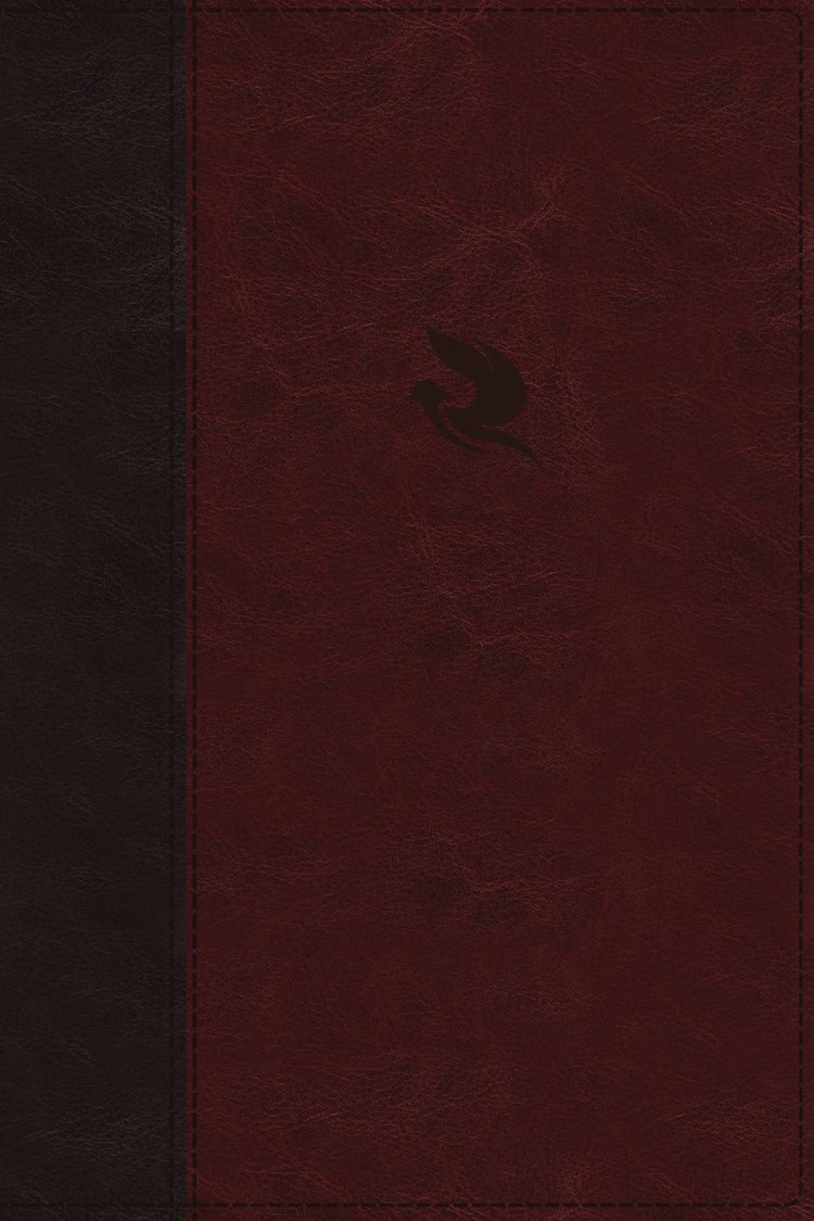 Cover image for NKJV Spirit Filled Life Bible Red Letter Edition [Burgundy], isbn: 9780529100597