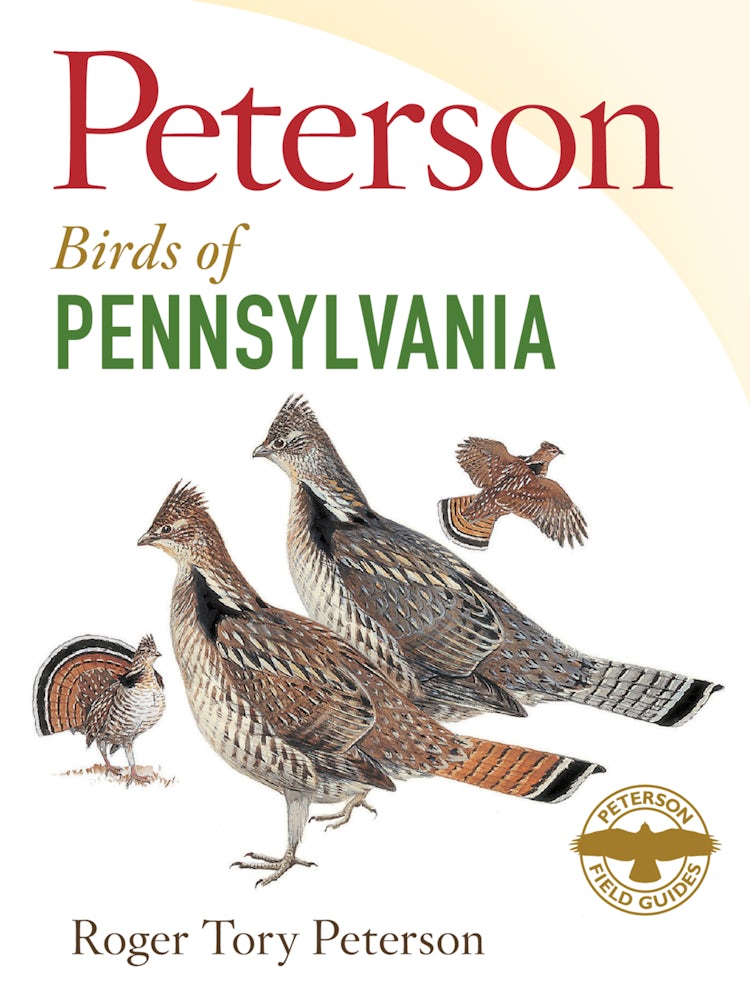 Cover image for Peterson Field Guide To Birds Of Pennsylvania, isbn: 9780544022140