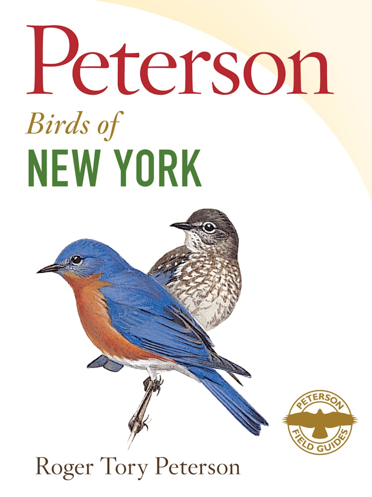 Cover image for Peterson Field Guide To Birds Of New York, isbn: 9780544022850