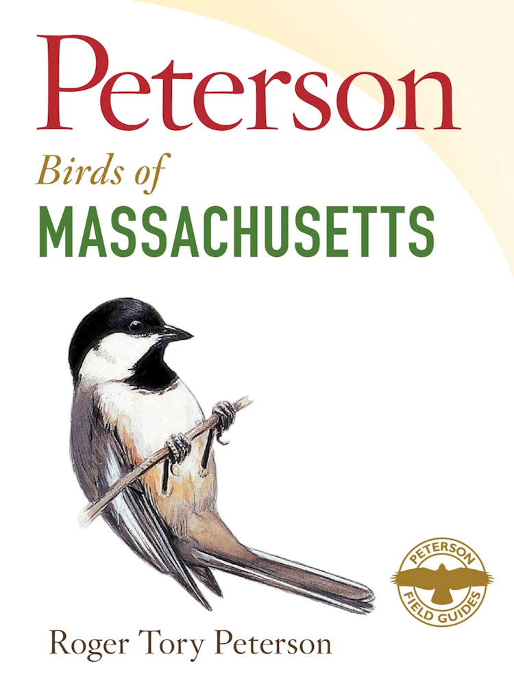 Cover image for Peterson Field Guide To Birds Of Massachusetts, isbn: 9780544022881