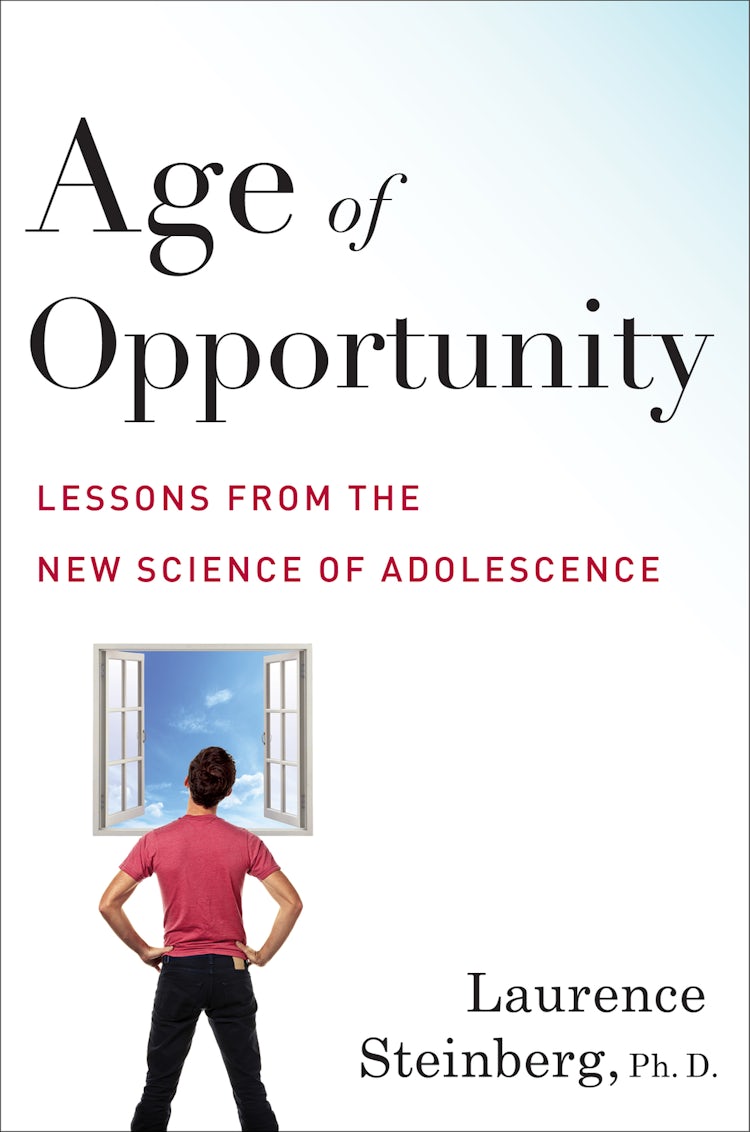 Cover image for Age Of Opportunity, isbn: 9780544253162