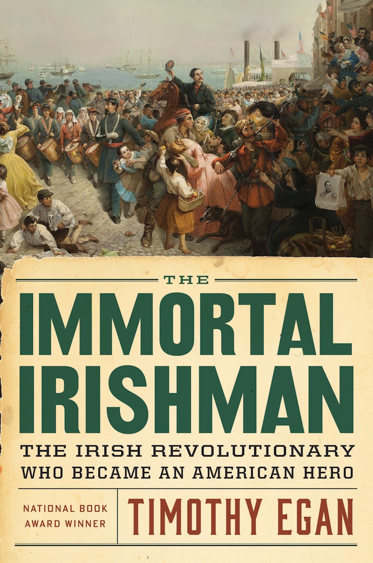 Cover image for The Immortal Irishman, isbn: 9780544272477