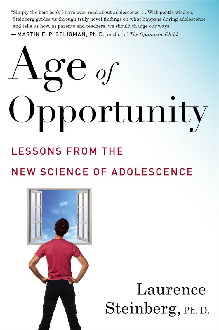Cover image for Age Of Opportunity, isbn: 9780544570290