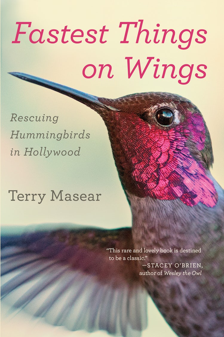 Cover image for Fastest Things On Wings, isbn: 9780544705371