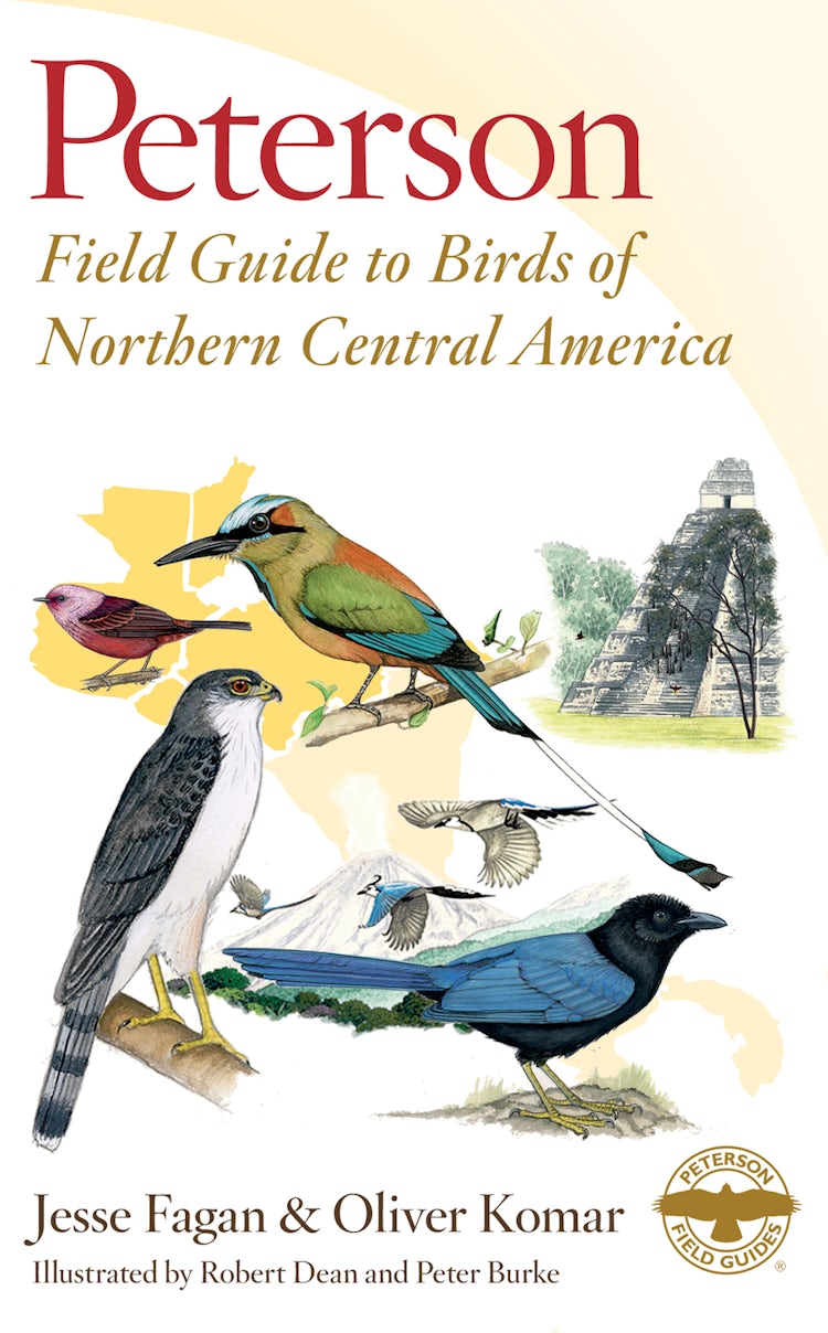Cover image for Peterson Field Guide To Birds Of Northern Central America, isbn: 9780544867109