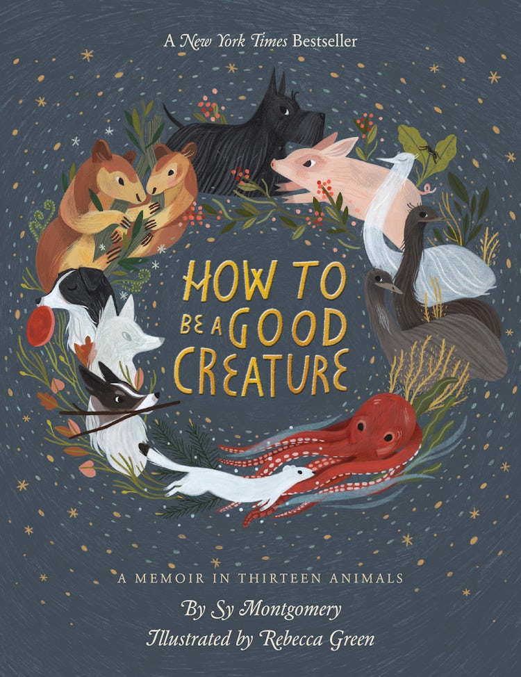 Cover image for How To Be A Good Creature, isbn: 9780544938328