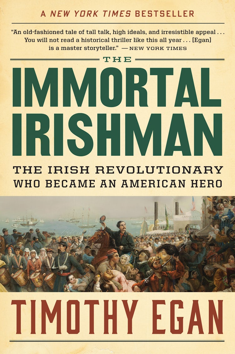 Cover image for Immortal Irishman, The, isbn: 9780544944831