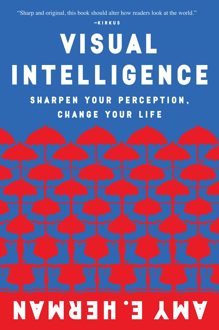 Cover image for Visual Intelligence, isbn: 9780544947122