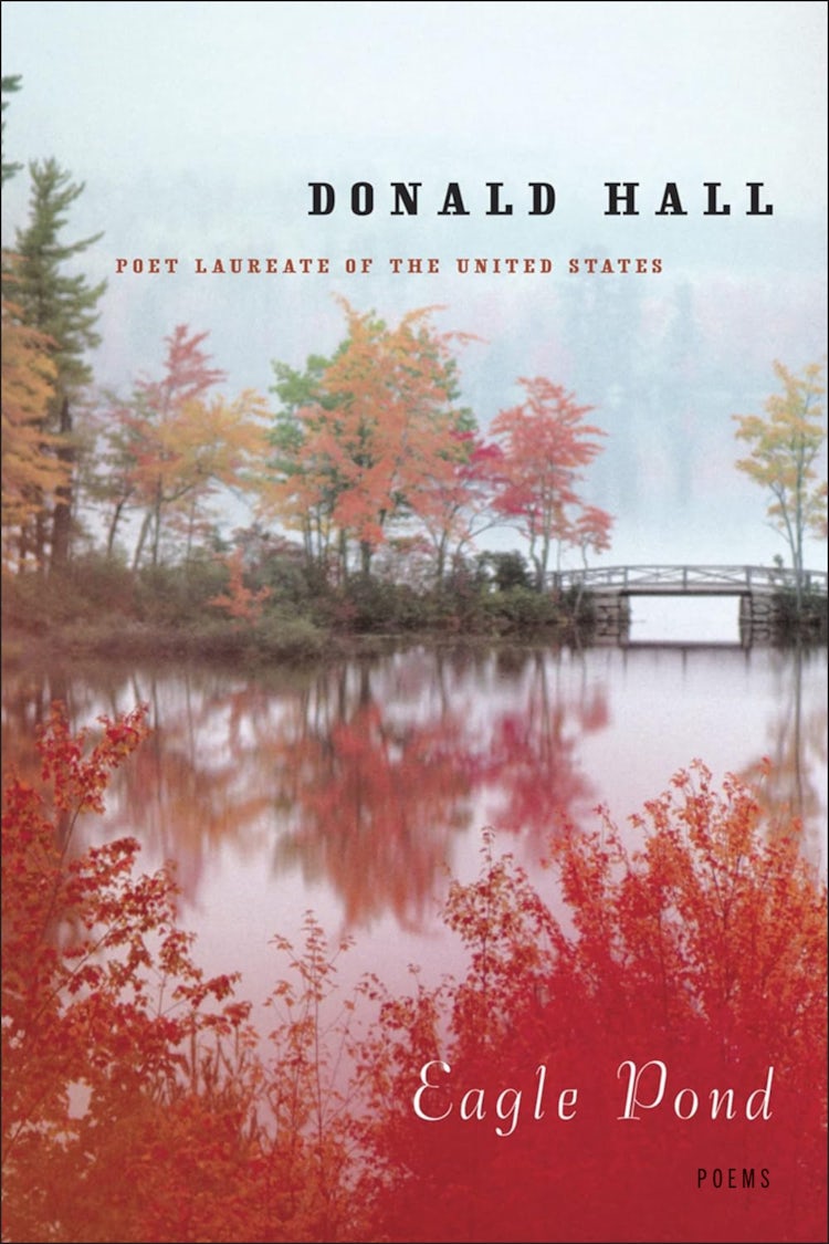 Cover image for Eagle Pond, isbn: 9780547527109