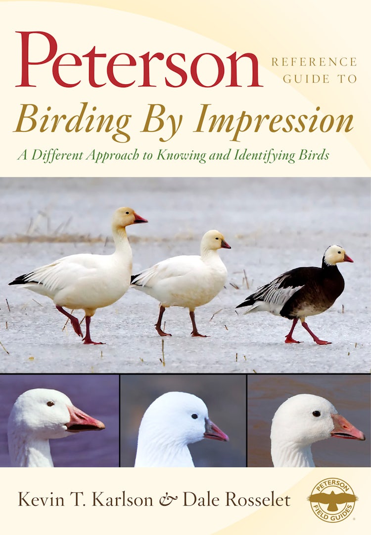 Cover image for Peterson Reference Guide To Birding By Impression, isbn: 9780547527864