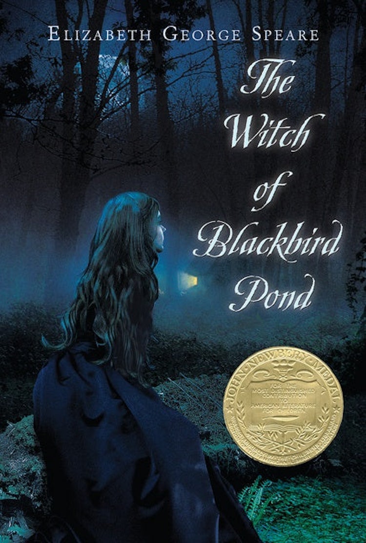 Cover image for The Witch of Blackbird Pond, isbn: 9780547550299