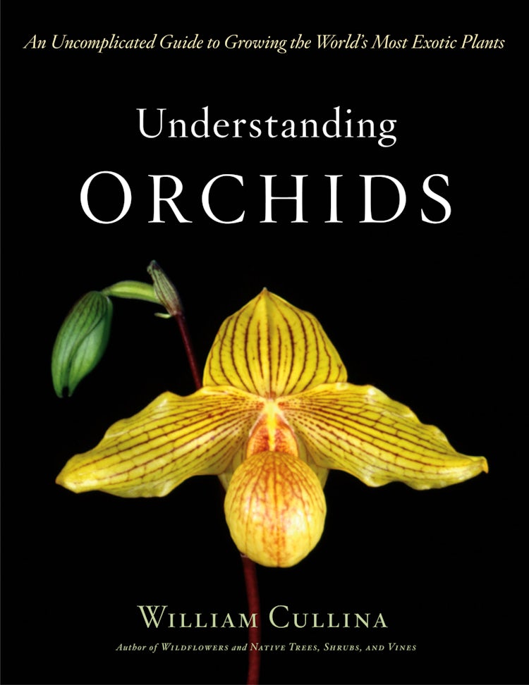 Cover image for Understanding Orchids, isbn: 9780618263264