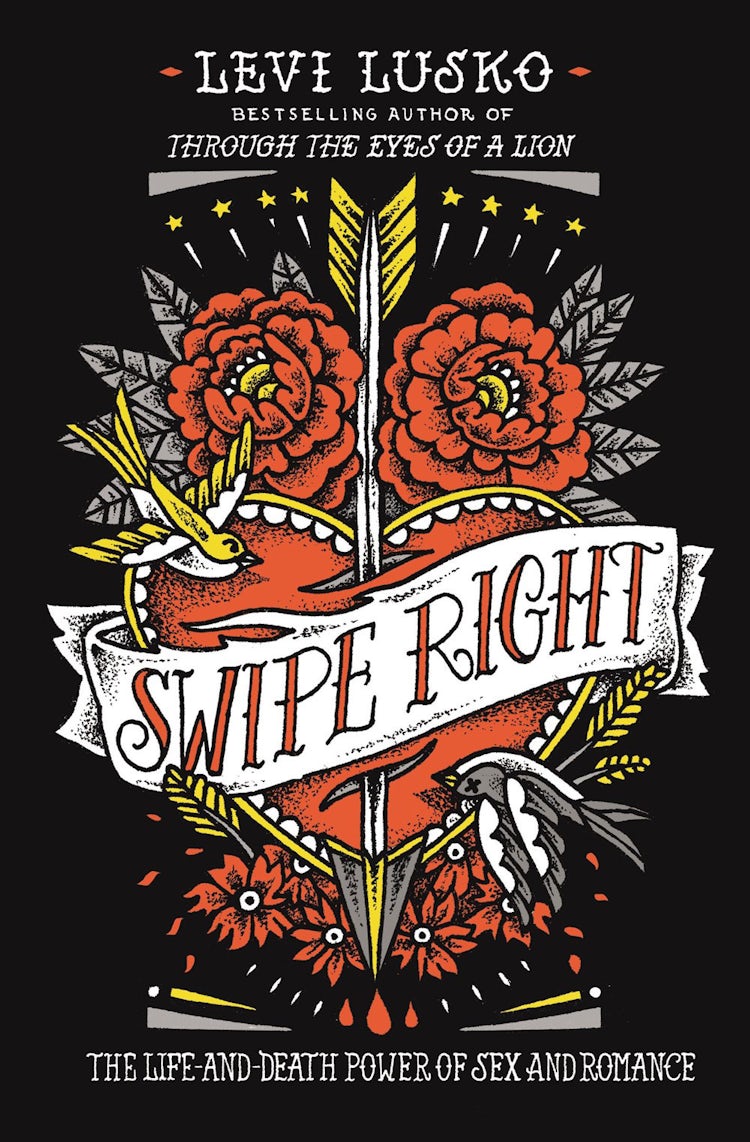 Cover image for Swipe Right: The Life-and-Death Power Of Sex And Romance, isbn: 9780718032159