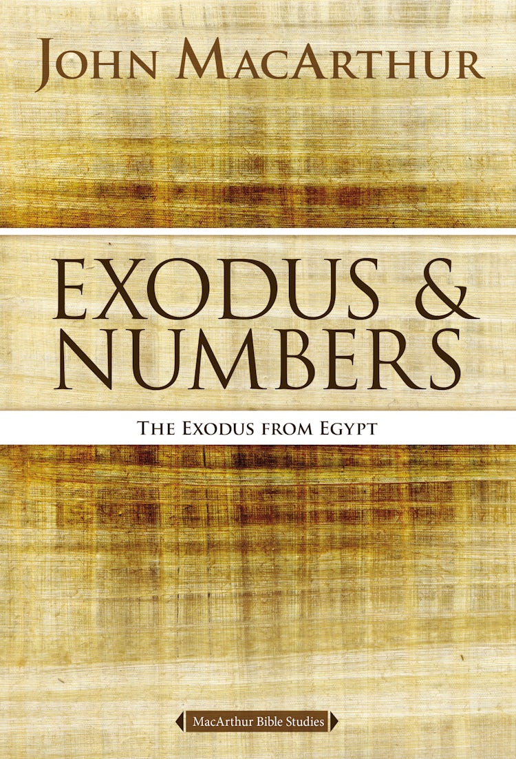 Cover image for Exodus and Numbers: The Exodus from Egypt, isbn: 9780718034702